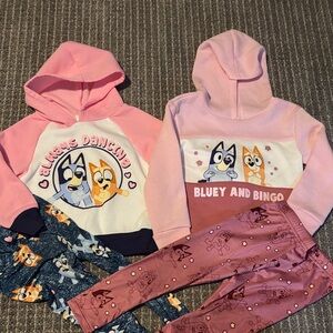 Bluey & Bingo Girls Pink Matching Hoodie Set - Kids Matching Sets
